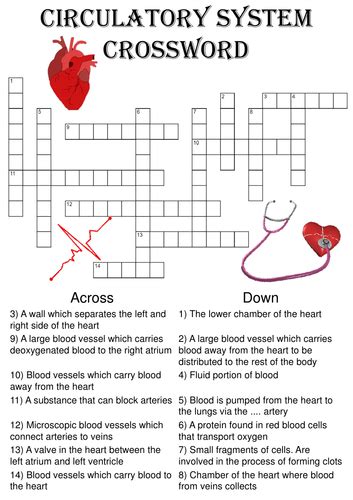We have 1 possible answer in our database. . Blood vessel opener crossword clue